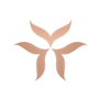 ARIAN-WEB