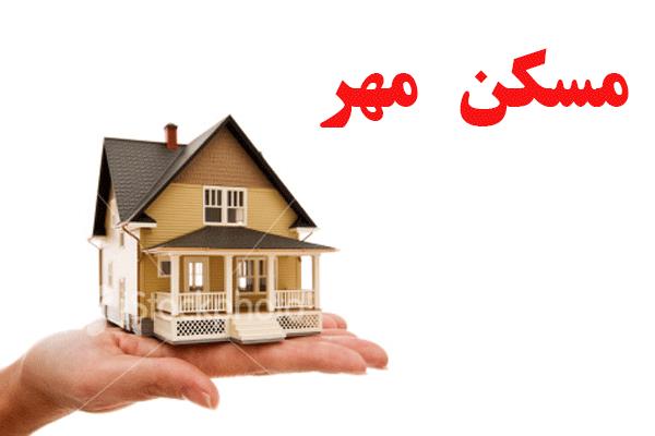 باغ وحش گوگل الگوریتم های مهم گوگل
