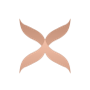 Ari-Tech